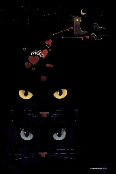Melida olmeda Il gatto con lo stivale